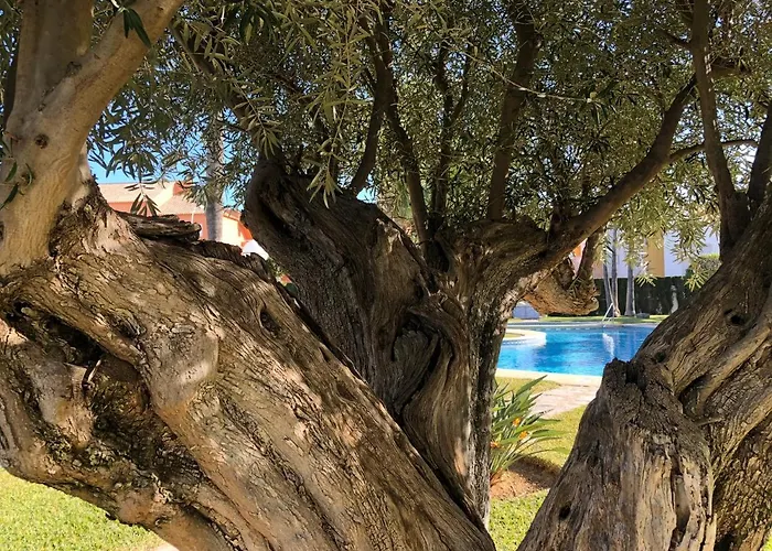 Hort 1-serviden Dénia