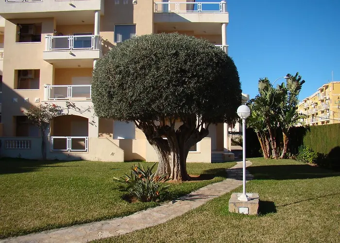 Hort 1-serviden Daire *